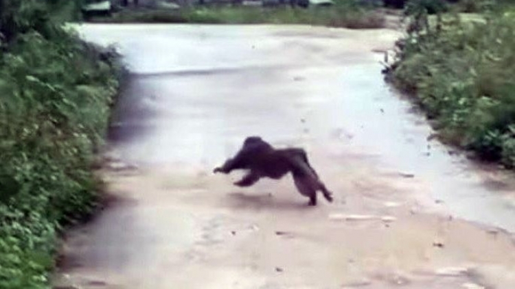 Quảng Nam: Bhrợ c’lâng xa nay plăm đoọng xó căh cợ đặc biêng bhọt bhrợ t’bhrêy ma nuyh