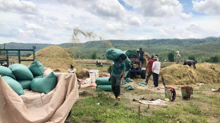 Ană plơi Jarai hok mơak bơyan pơdai boh jor yua hơmâo bơnư̆ ia Plơi Keo