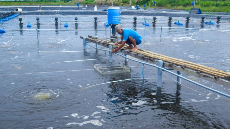 CÀ MAU: MENG RAONG HADANG PABLEI SALIH TAPA RAONG HADANG HU TRÁCH NHIỆM