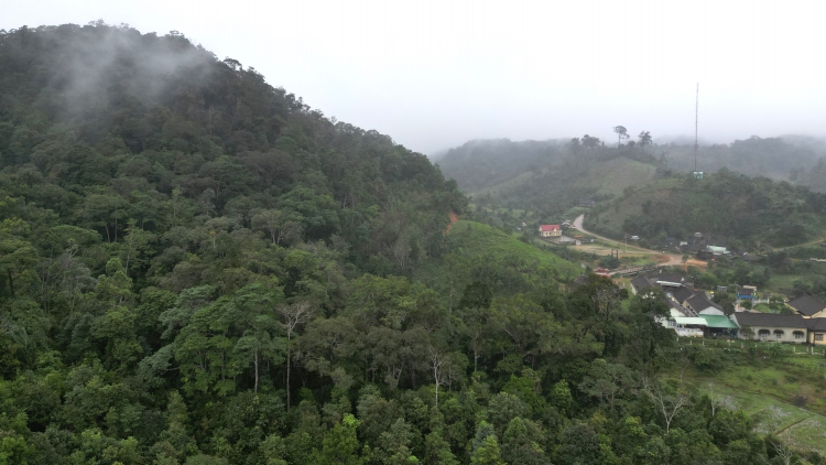 T’vaih bh’nơơn chr’năp tơợ pazêng tơơm chè đanh c’moo đhị An Toàn, Bình Định