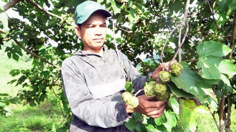 BH’RỢ TR’MUNG T’MÊÊ VÊY PA DƯR ZÊN PA CHÔ HA ĐHANUÔR K’COONG CH’NGAI QUẢNG TRỊ