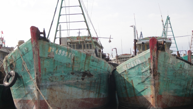 KAPAL IKAN DI BR-VT OH TABIAK TASIK HU KAYUA OH HU TAONG YAOM