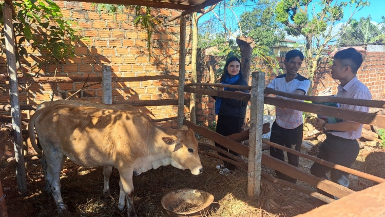 Gia Lai: Priă càn sa priă cồng ờ uă dong kờl cau lơh jăt broă lơh glài kŭp jàm pin dờn brồ guh