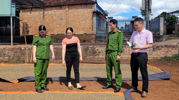 Gia Lai: Ngăn prăk đru kơ phung mrâo wĭt sang mnă jhŏng gĭr ktưn