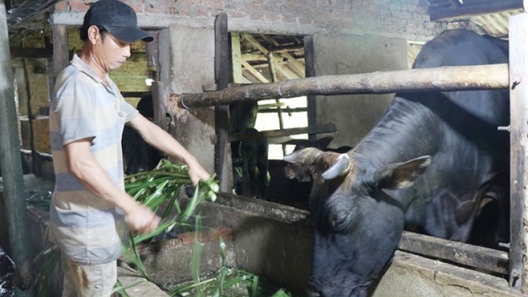 Bh’rợ xa nay cr’noọ cr’niêng K’tiêc k’ruung zooi zr’lụ da ding ca coong Quảng Ngãi pa xiêr đha rưt đơơh, nhâm mâng