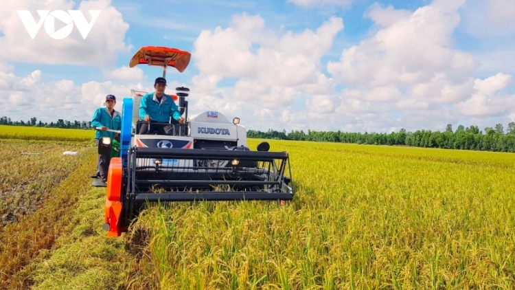 Chiâk deăng hơnăm 2024 prôk troh tơdroăg tơtêk ƀă krá tơniăn