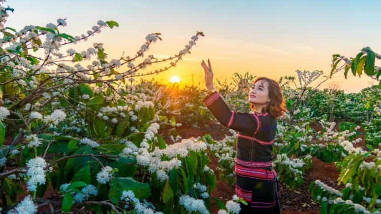 Mùa xuân về với Tây Nguyên