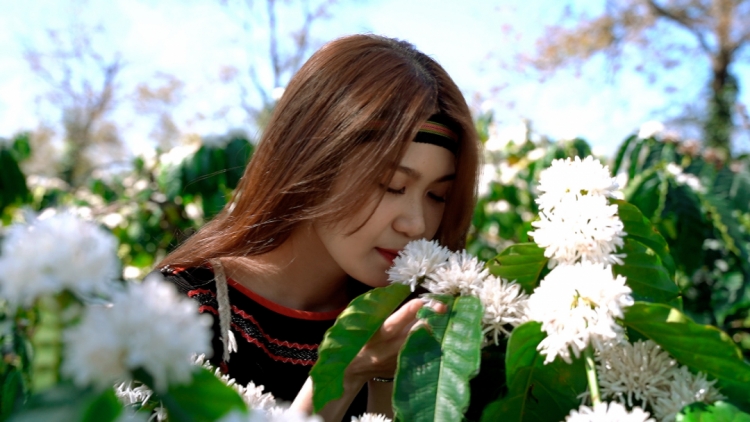 Cô nàng xinh đẹp