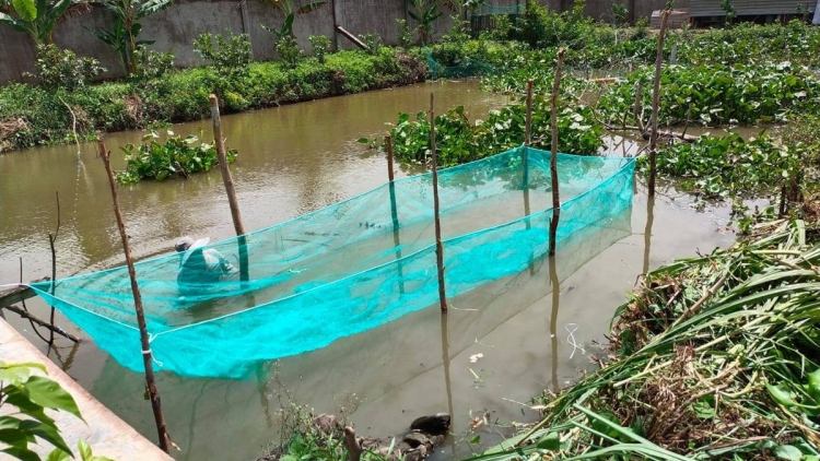 ILAMU RAONG IKAN PATHOC DALAM PAGA HALAM BA MAI KEIN LABA GLAONG