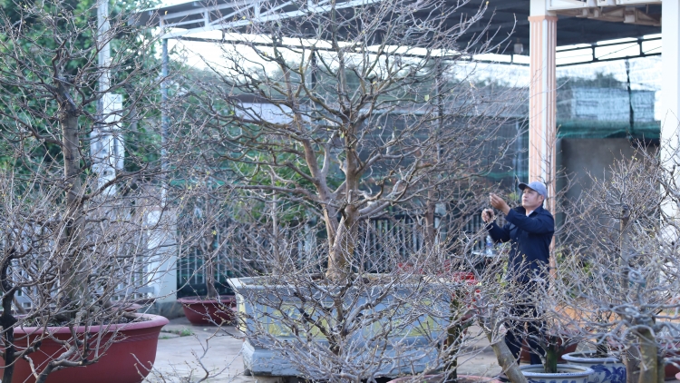 Lắng nghe mùa xuân về