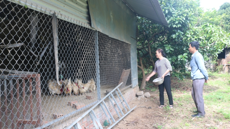 Năm jang tơ̆ teh đak đe – Tơdrong ‘lơ̆ng vă pơm tơplih tơdrong arih xa ăn kon pơlei tơ̆ tơring pơmat tat kơ Đắk Lắk