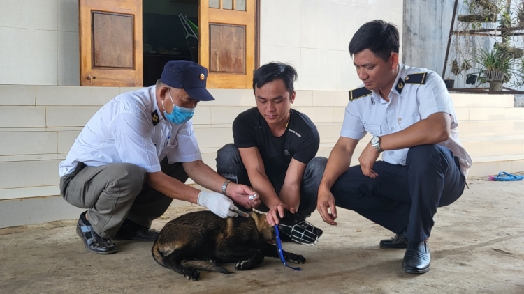 ĐẮK LẮK: BƠƠN NĂL 1 CHA NĂC DZỢ CĂH MA MÔNG TU CR’AY DẠI