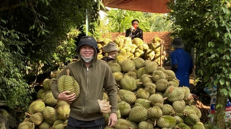 Tây Nguyên hơđơ̆ng jơhngâm jang tŏk