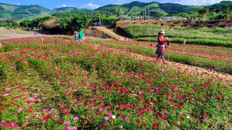 Tây Nguyên ntoh ntơr “Năm mhe geh âk nău knơm”.