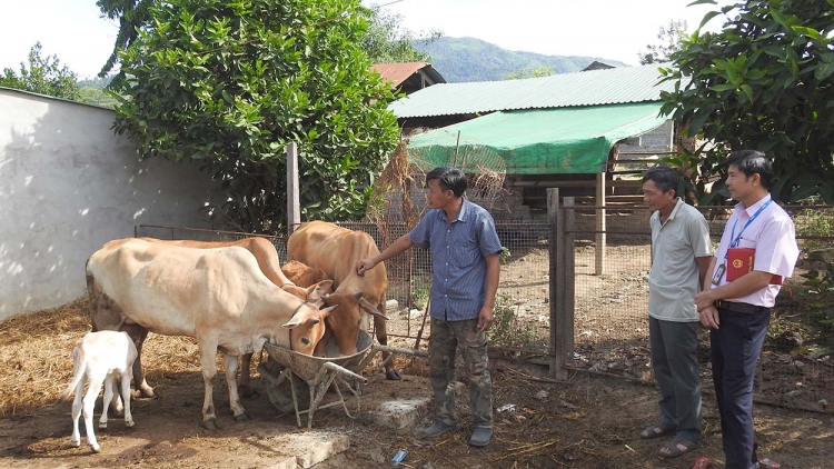 Apŭng sơlam teh  Ia H’Drai – Anih hơdah gah tơjur hin dơnuh kơ dêh char Kon Tum