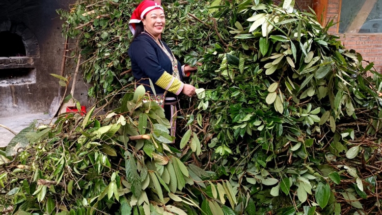 Lầy tzình  phát sinh ìu miền vả hoi 15.2.2024