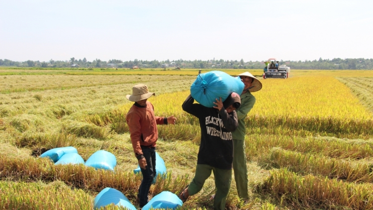 Dăk Lăk lơh pràn tàm tơrbŏ bal tăc bro phan bơna kòi phe 