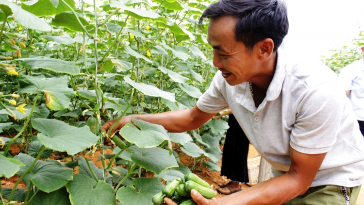 Lầy tzình  phát sinh ìu miền vả thoi 29.2.2023