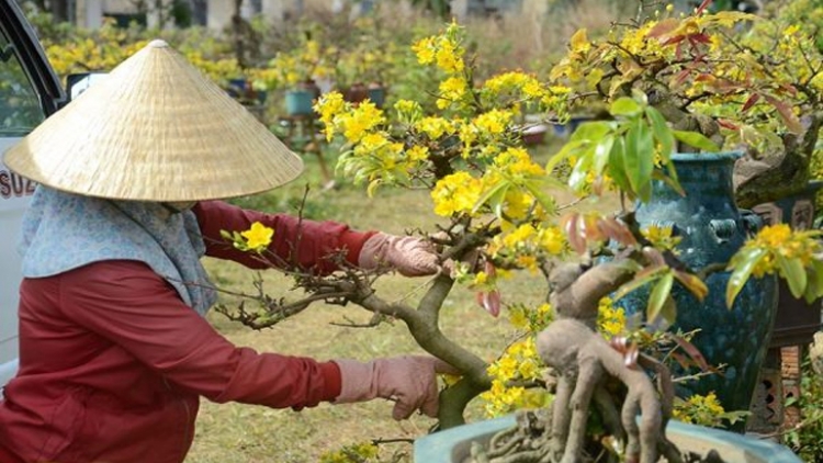 JALAN IEK GLANG PHUN MAI DALAM PHEING HADEI TẾT