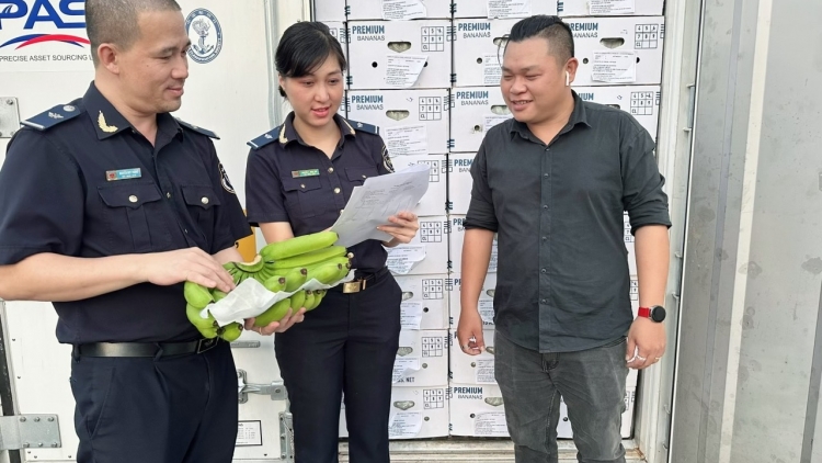 Pơlê kong kân Hồ Chí Minh mơdêk tê tơmeăm ăm kong têa ê apoăng hơnăm 