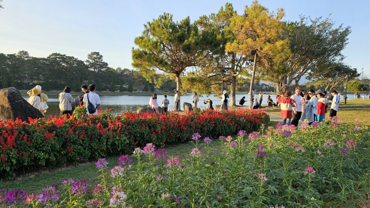 Đà Lạt đĭ 62% hnơ̆ng tue hiu čhưn mkă hŏng tết thŭn dih 