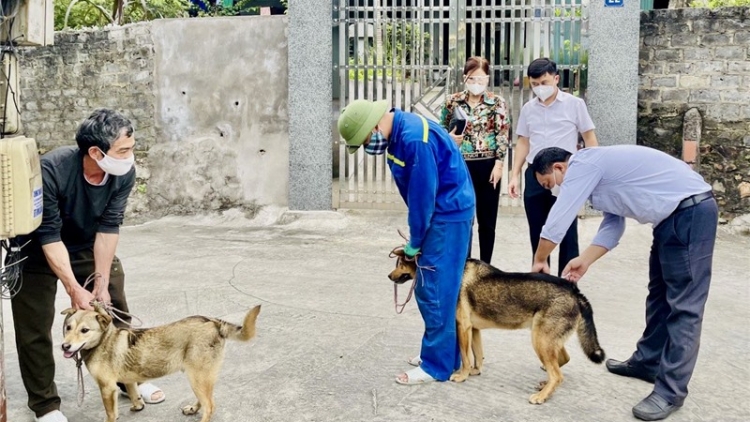 PATAGOK TACEI PATO, PASANG IEK, PACHREIH BA, PEIH NGAK DOM JALAN PACANG CAGA RUAK GILA DALAM TỈNH BAN DI DREI