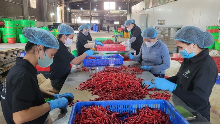 Uă hợp ták xã tàm Dăk Lăk lơh bal lơh gơlik, tac phan lơh gơs mờ mpồl lơh sa kă bro