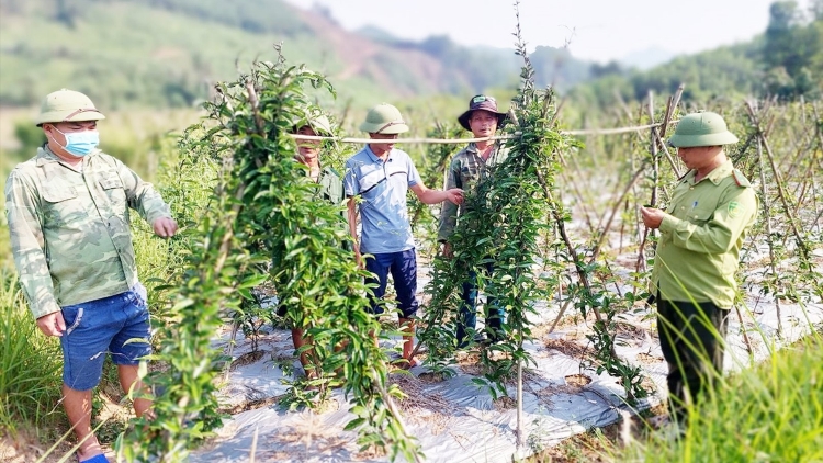 PHÚ YÊN: PA ZAY DƯR VAIH NẮC TRUNG TÂM TƠƠM ZA NƯƠU PRANG K’TIẾC K’RUUNG MOỌT C’MOO 2050