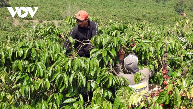 Klei hlăp ngă mgưt: Si srăng ngă čiăng ñĕ kơ klei ƀơ̆ng mda tla mduôn