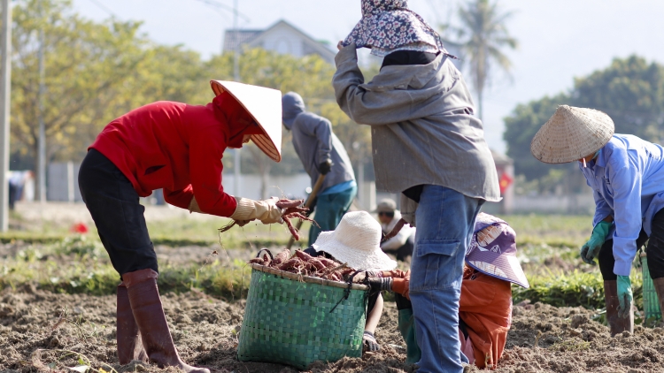 Chương trình phát thanh quam Tay thứ 4 mự 6 bườn 3 pì 2024