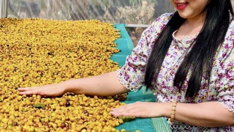 Mpồl 10 kơphe bơkah lơgar Việt Nam nam 2024 gam kơ̆p geh tàm pơrlòng giă tàm Hà Nội