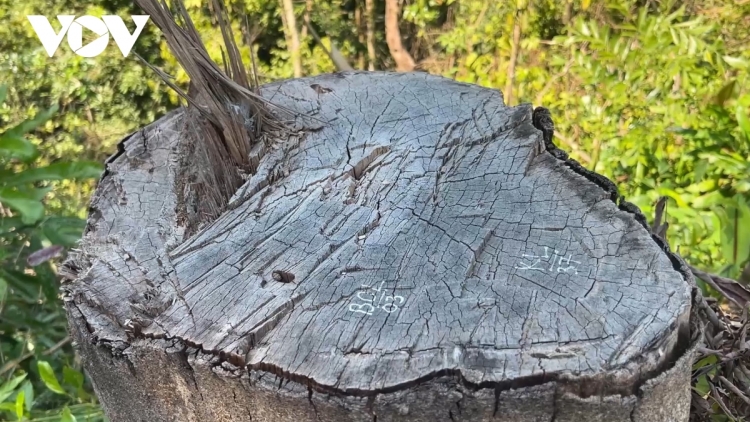 BHRỢ PA GHIT TRÁCH NHIỆM APÊÊ NGAI CRÊÊ TƯƠC BH’RỢ PA HƯ CRÂNG ĐHỊ CHR’HOONG TÂY GIANG, TỈNH QUẢNG NAM