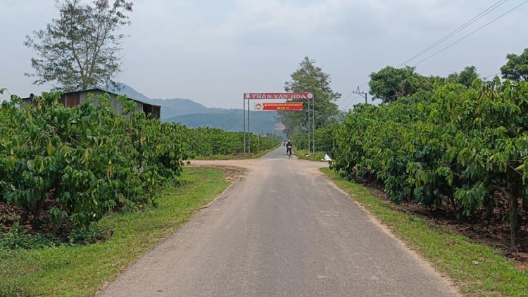 Kon Tum Khua git gai ping gah plơi gơgrong kjăp bruă man pơdong plơi pla phrâo anih djuai ƀiă dŏ