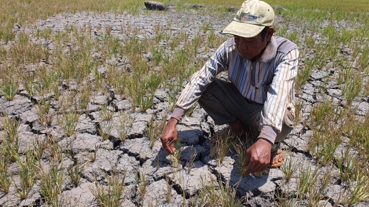 Không phang khŏt ia lu anih ƀơi Gia Lai: Mơnuih ƀôn sang ƀu hơmâo ia yua