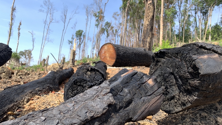 Lu alŭ wăl ti čar Dak Lak mâo klei arưp aram luč dliê