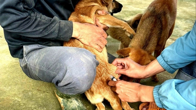 TÂY GIANG XAY BHRỢ BH’RỢ CHA GROONG CR’AY DẠI