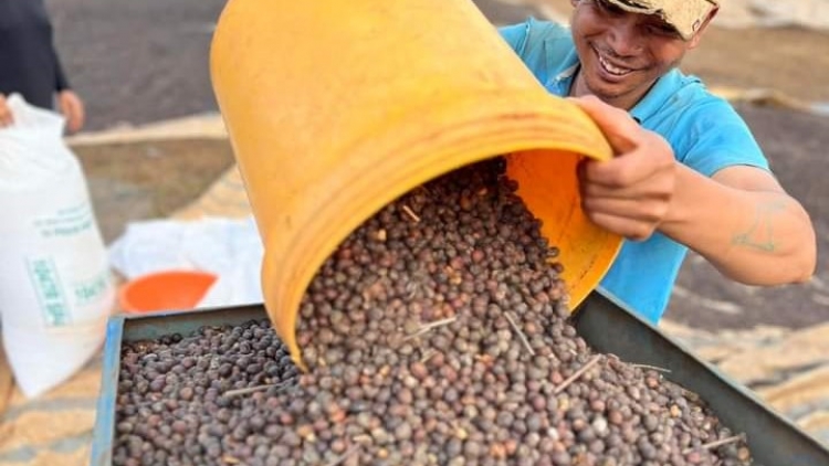 Giă kơphe gơguh uă là bơta ndrờm bal ai cau lơh broă sa in