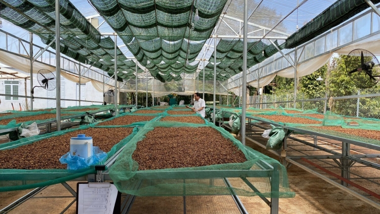 Kual Dap Kơdư ba sĭ gơnam pơ čar rơngiao đĭ biă, samơ̆ ăt dŏ gun bruă tuh pơ alin