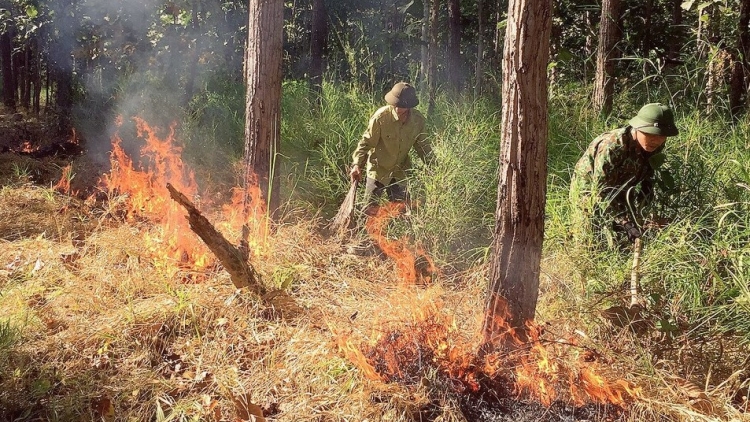 Dak Lak lu ênhă dliê huĭ srăng pui ƀơ̆ng 