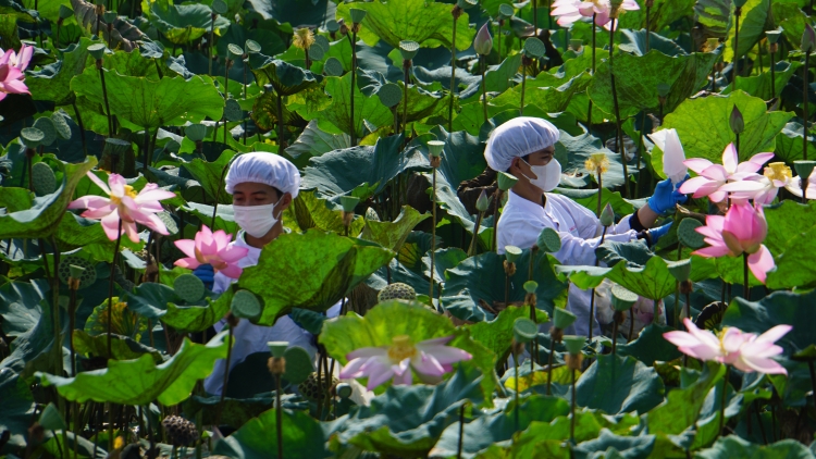 ពត៌មាន​ម៉ោង១៥