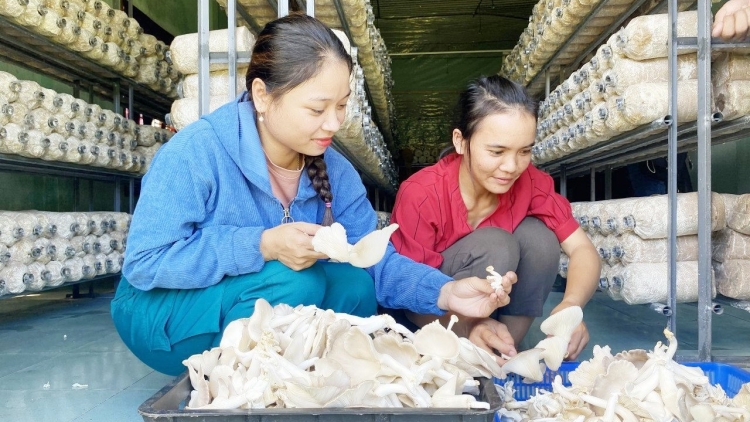 C’BHUH TẦM NHÌN THẾ GIỚI ƠY ĐOỌNG LÂH 4,3 TỶ ĐỒNG BHRỢ DỰ ÁN ĐHỊ NAM GIANG LÂNG NAM TRÀ MY