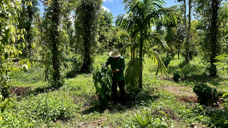 Bruă ngă hmua Dak Lak hơđong tui yua kơ ngă tui lu hơdră