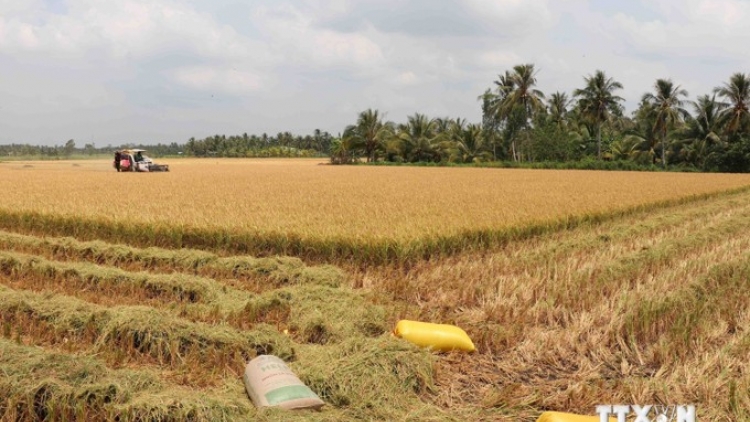 DAONG URANG NONG NGAK KAYA MEDA ANGAOK BHUM TANEH PALEI TRA VINH