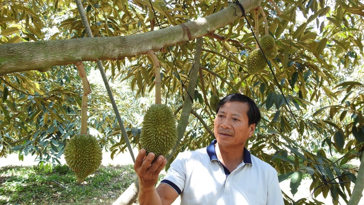 Săk rnglăy bâh nău kan rgâl mhe ueh mir tơm mô jêng ta n’har bri Sa Thầy.
