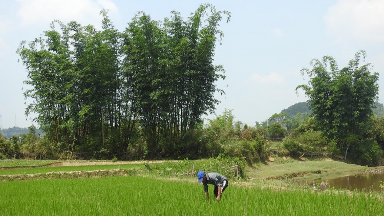 Măng Bút- Hơdrin yak tŏk đơ̆ng mơmat tat yak kơjăp tŭn hŭt pơngot rơngĕt dơnuh hin