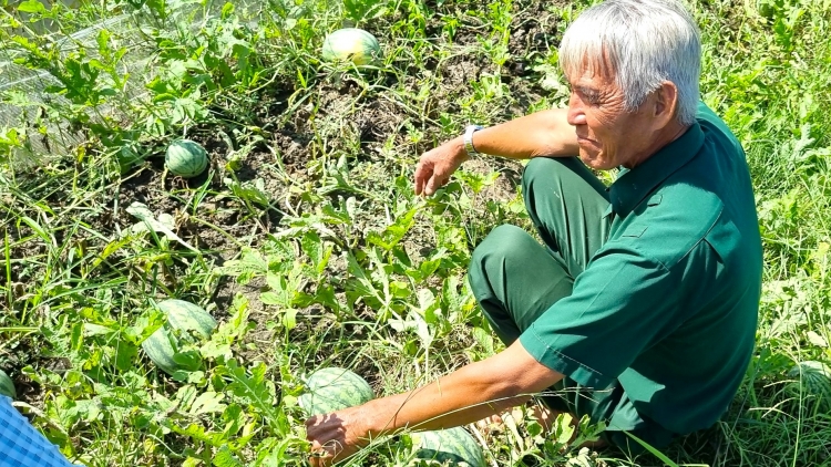 PHAM KINH DOANH, URANG DAHLAU DAIH NGAK BOL LIN, BREI MBOH KREIH CAMIN HADAH DI URANG LIN WA HỒ