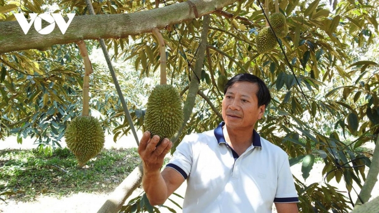 KEIN LABA MENG DANAK DAK RAMIK PASIAM TANEH BEIN DI LABIK TAPHIA NEGAR SA THAY