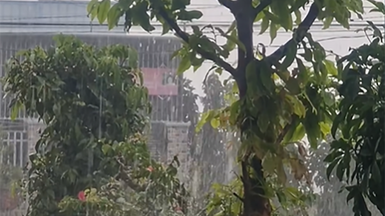 Tây Nguyên ai mêi kân kơdroh ki tô, loăng plâi hluăn tơdroăng ki khăng têa