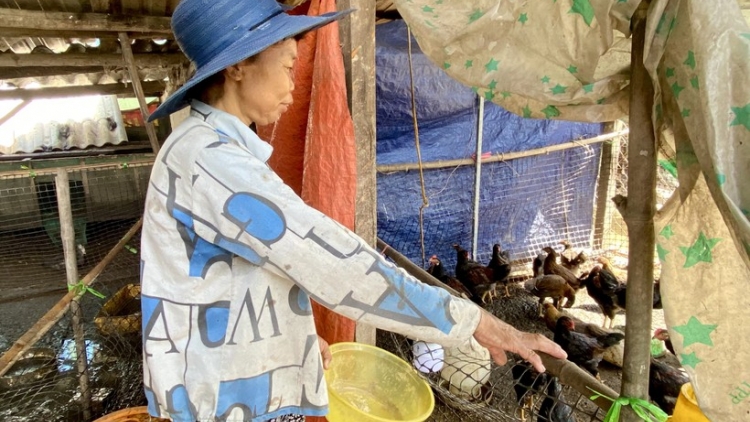 THỪA THIÊN HUẾ: ZOOI K’RONG BHRỢ 14 DỰ ÁN B’BĂN 