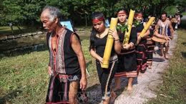 Vi yông ‘nhă kơ ba